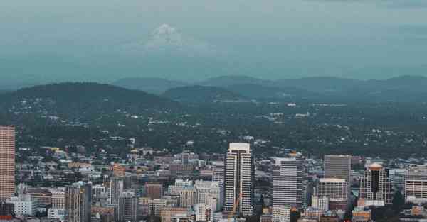 电脑加速器梯子免费