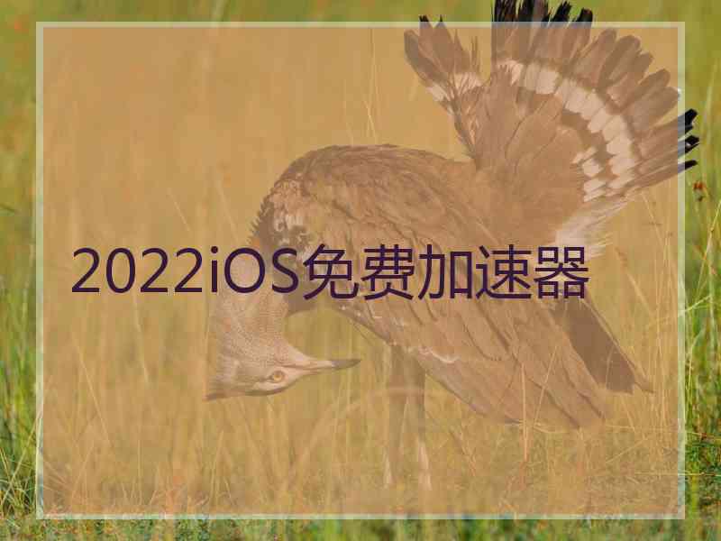 2022iOS免费加速器