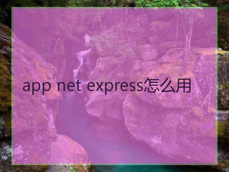 app net express怎么用