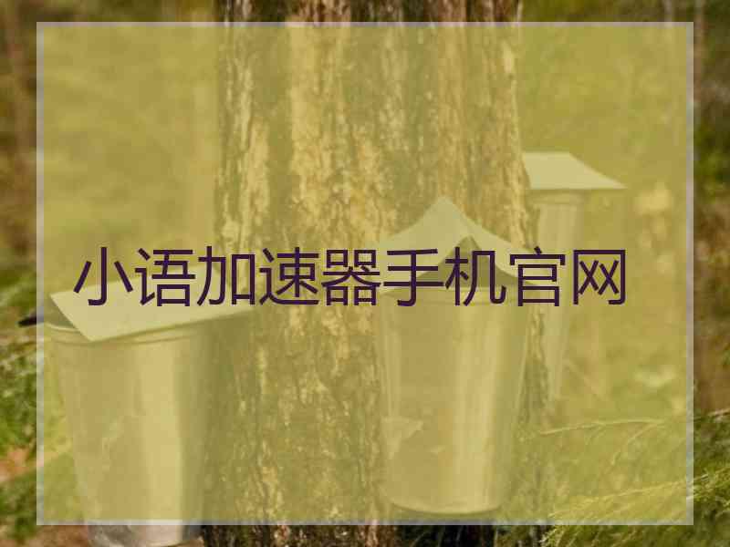 小语加速器手机官网