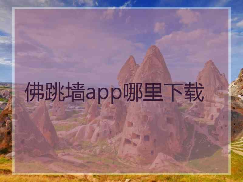 佛跳墙app哪里下载