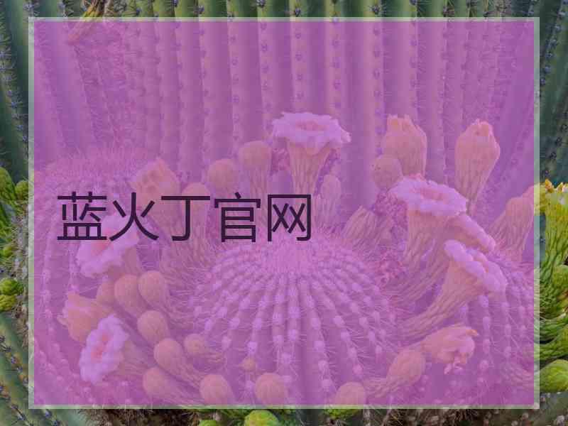 蓝火丁官网