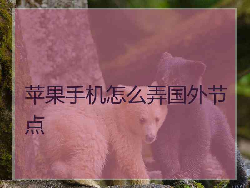 苹果手机怎么弄国外节点