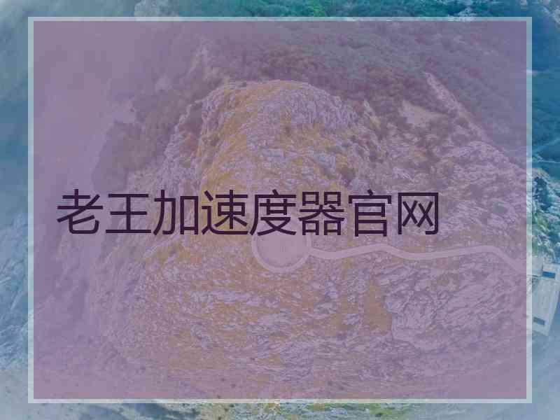 老王加速度器官网