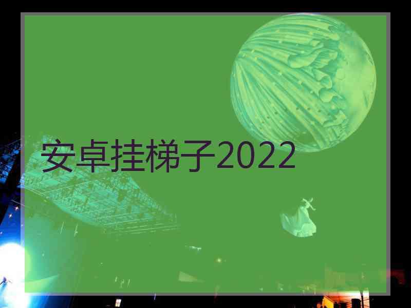 安卓挂梯子2022