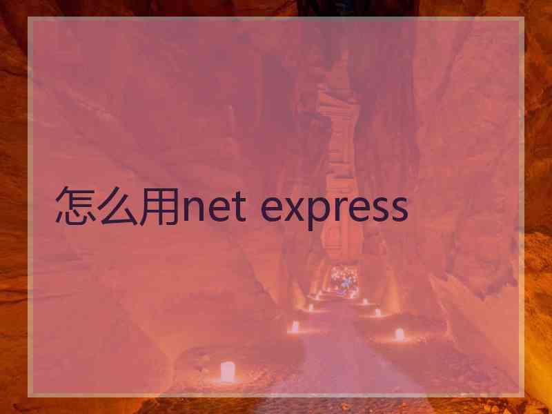 怎么用net express