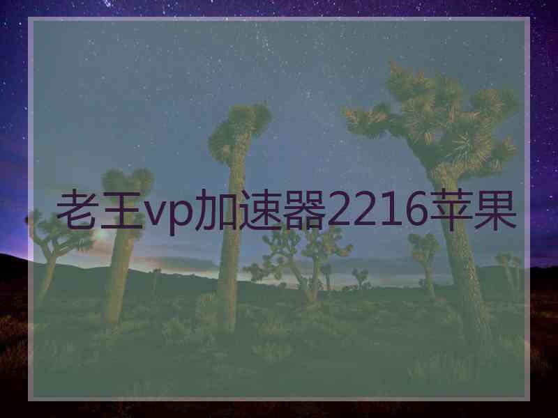 老王vp加速器2216苹果