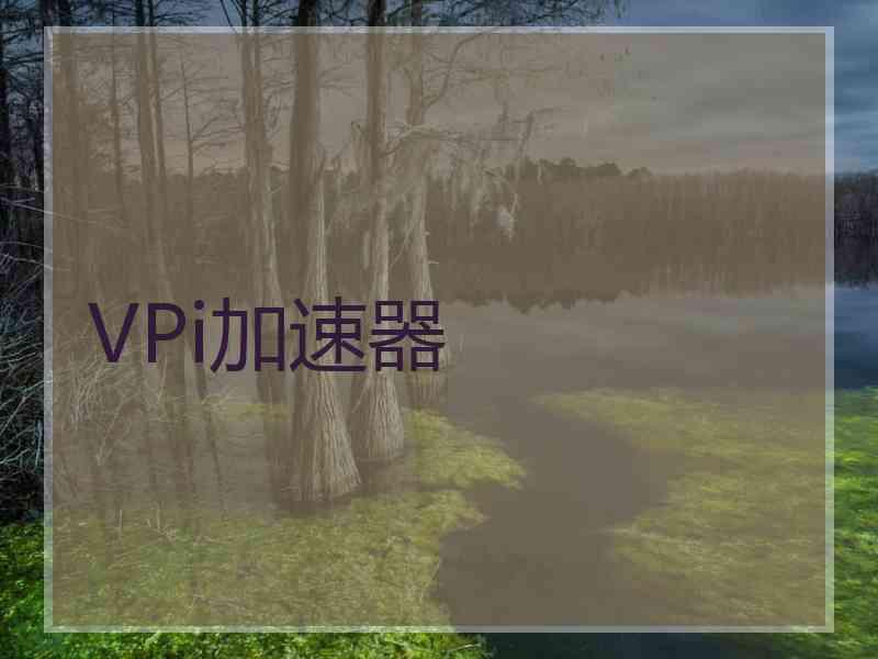 VPi加速器