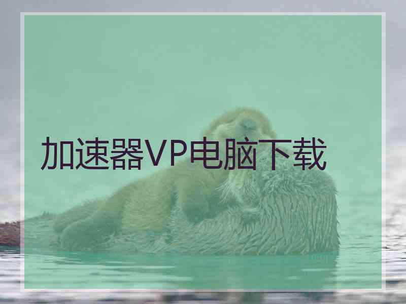 加速器VP电脑下载