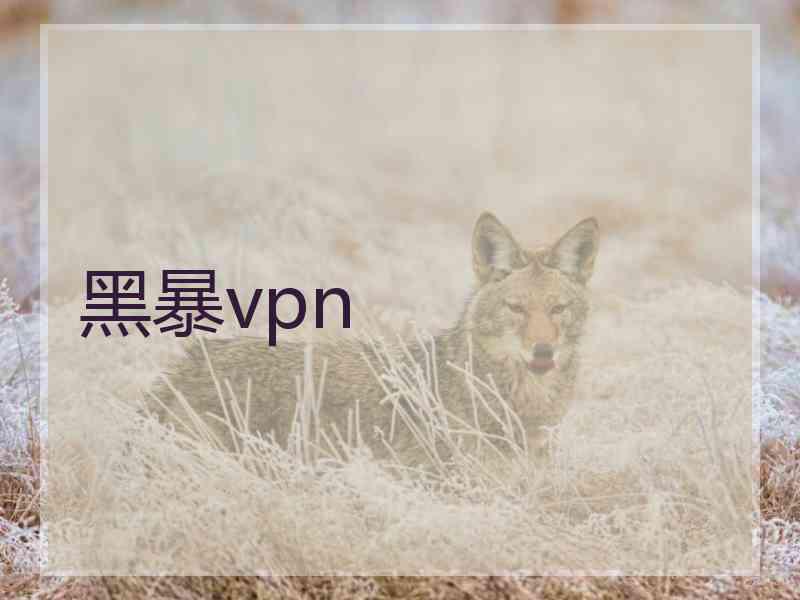 黑暴vpn