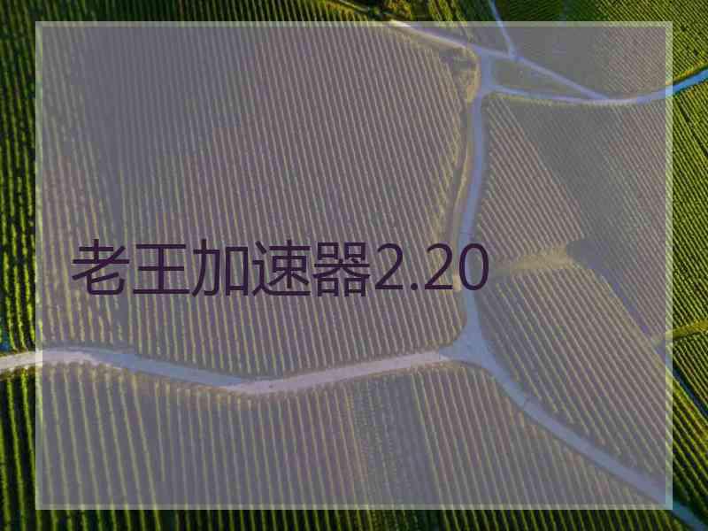 老王加速器2.20