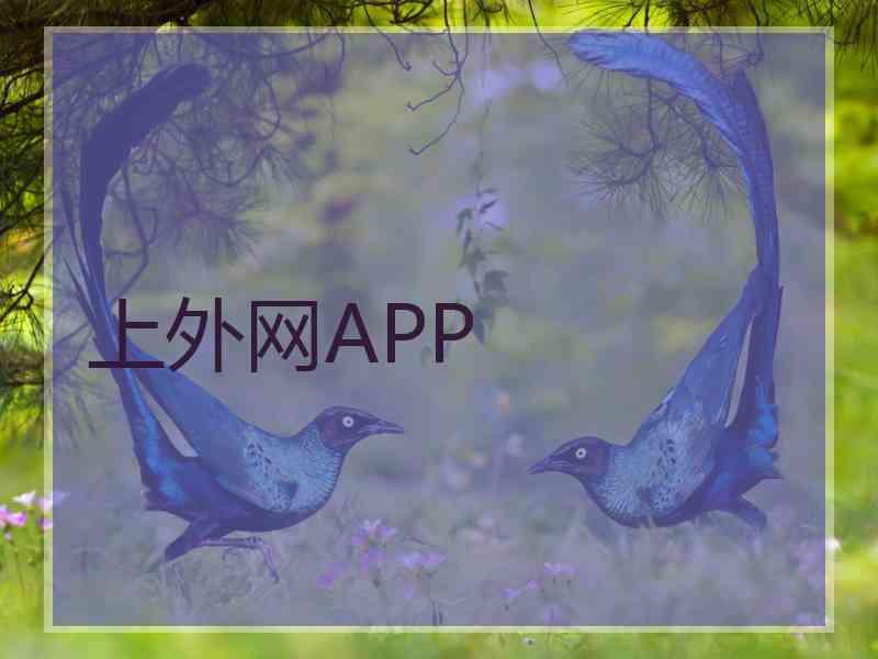 上外网APP