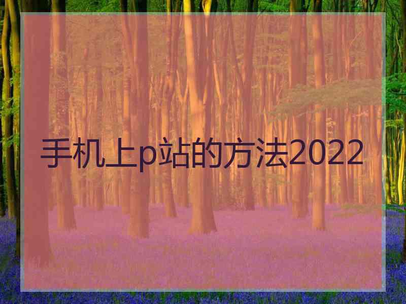 手机上p站的方法2022