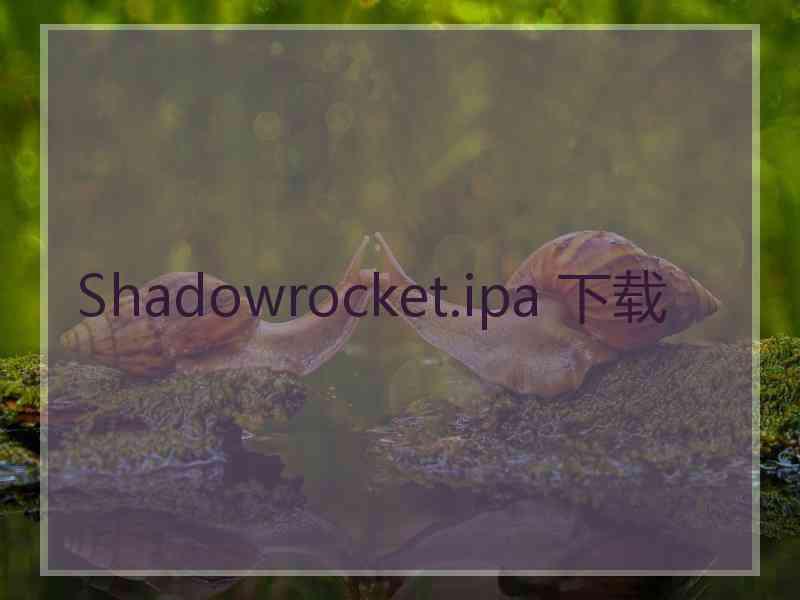 Shadowrocket.ipa 下载