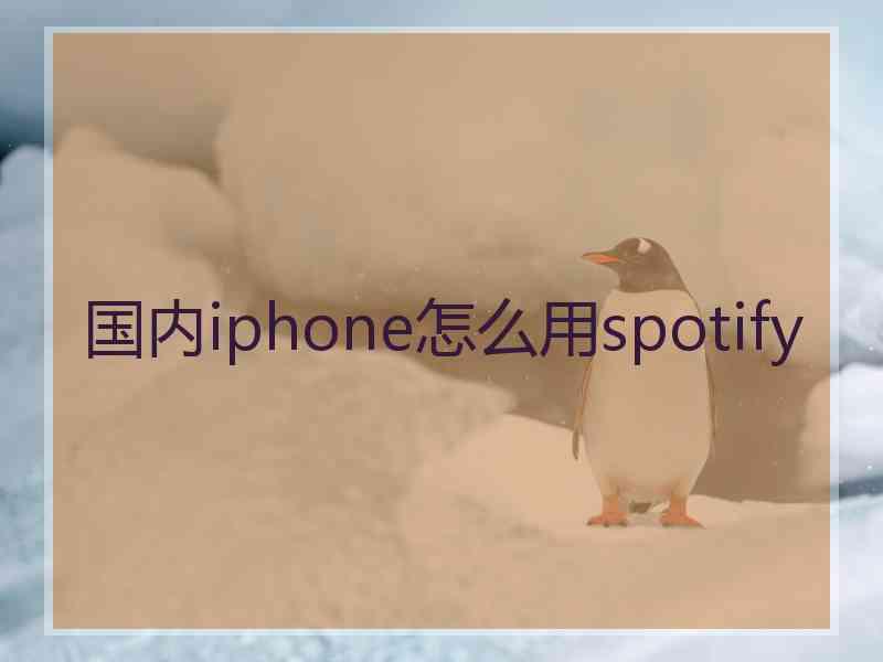 国内iphone怎么用spotify