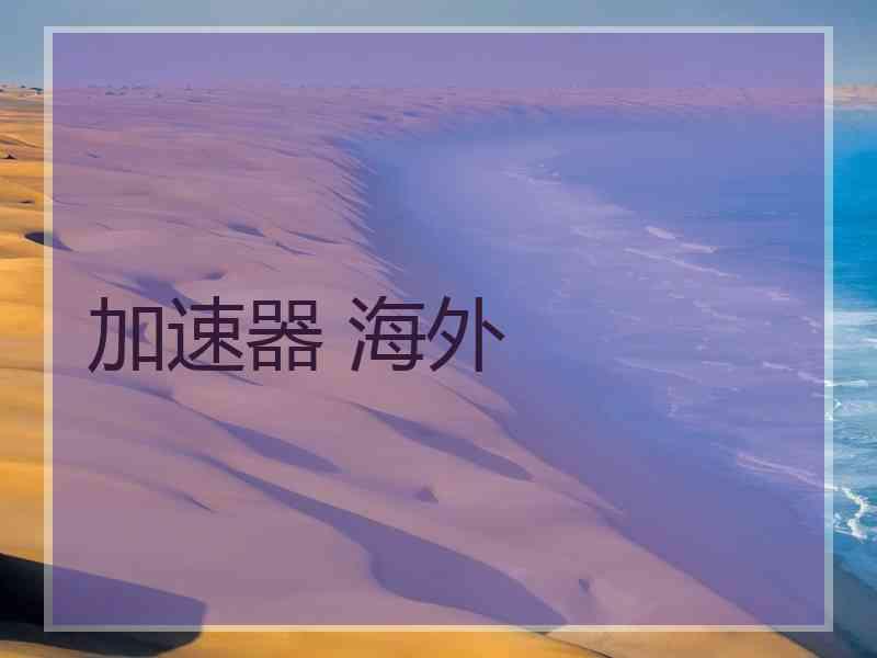 加速器 海外