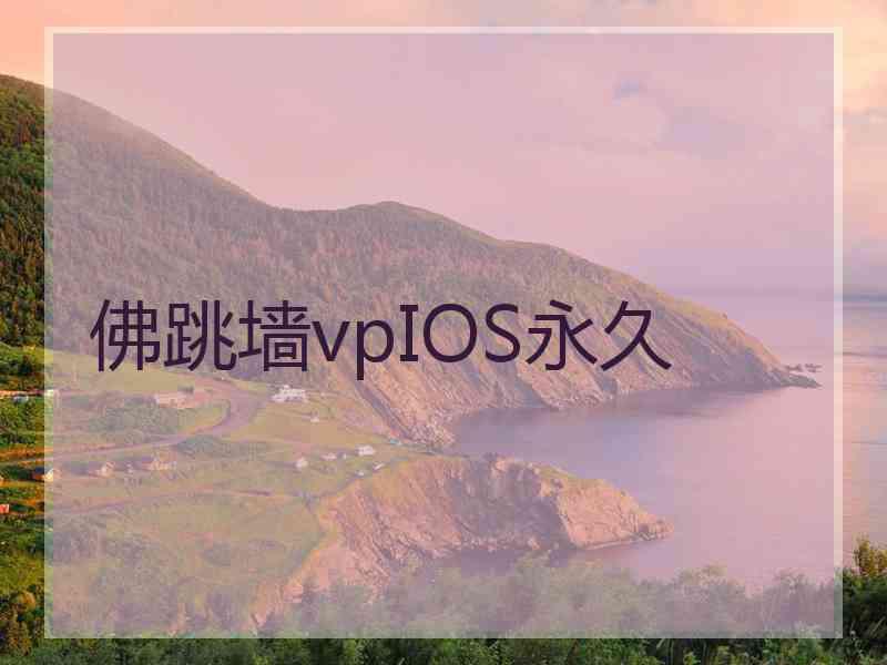 佛跳墙vpIOS永久