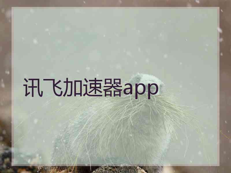 讯飞加速器app