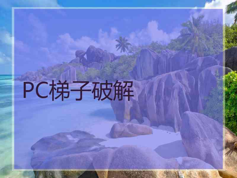 PC梯子破解