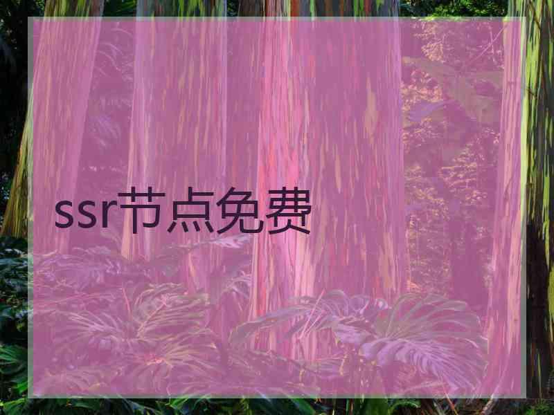 ssr节点免费