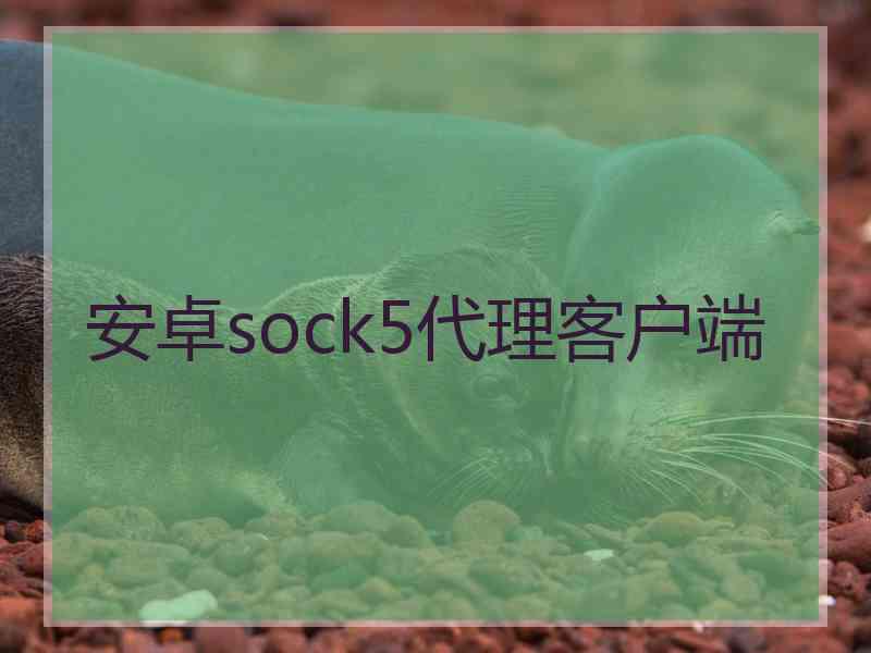 安卓sock5代理客户端