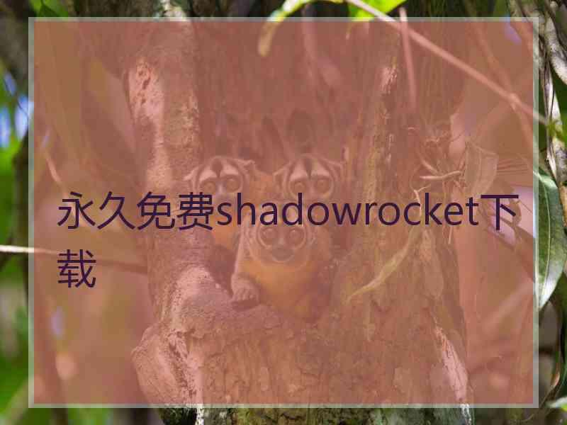 永久免费shadowrocket下载