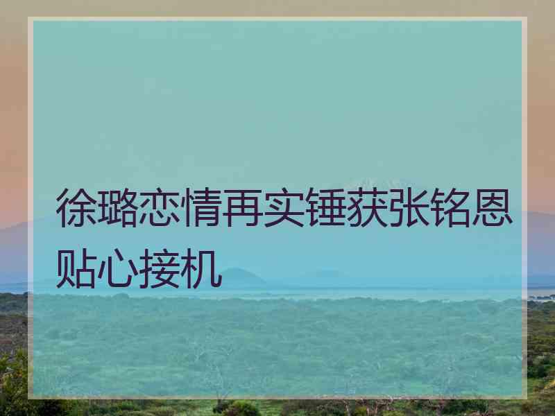 徐璐恋情再实锤获张铭恩贴心接机