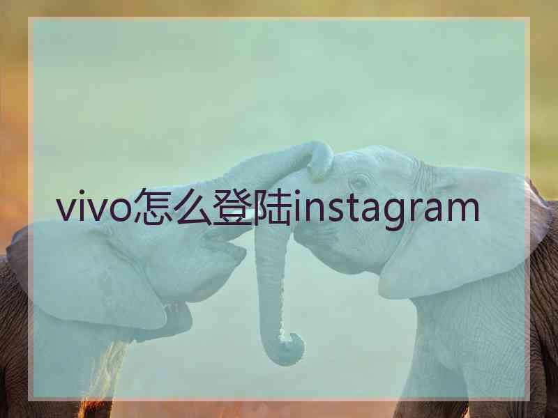 vivo怎么登陆instagram