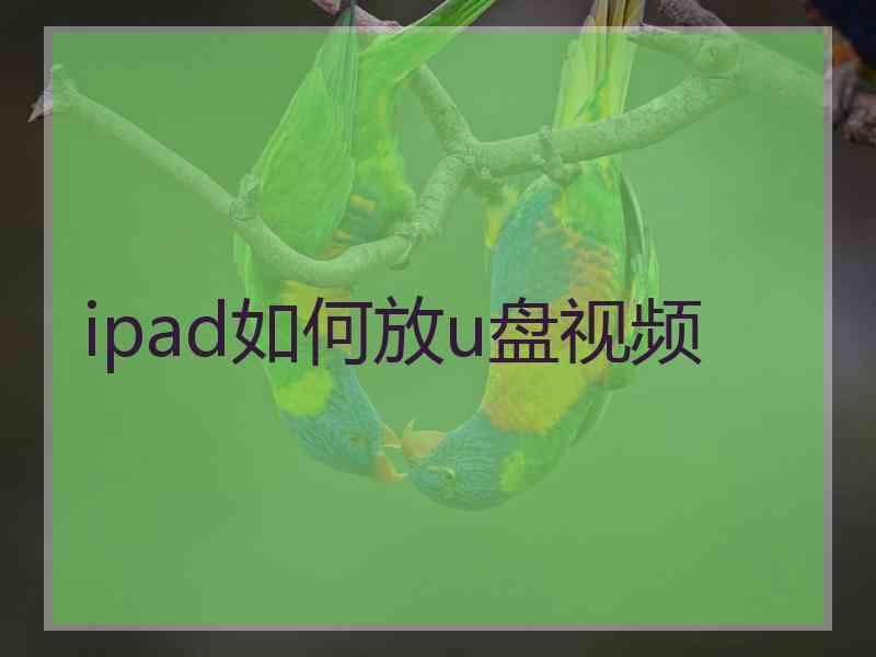 ipad如何放u盘视频