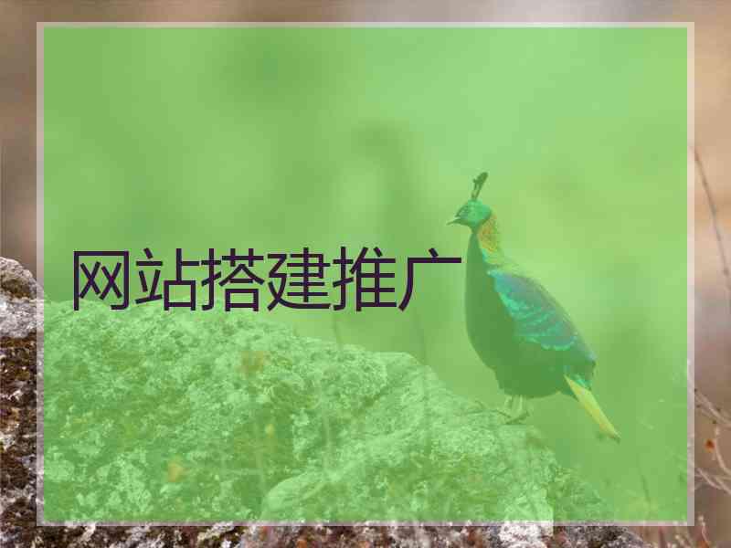 网站搭建推广