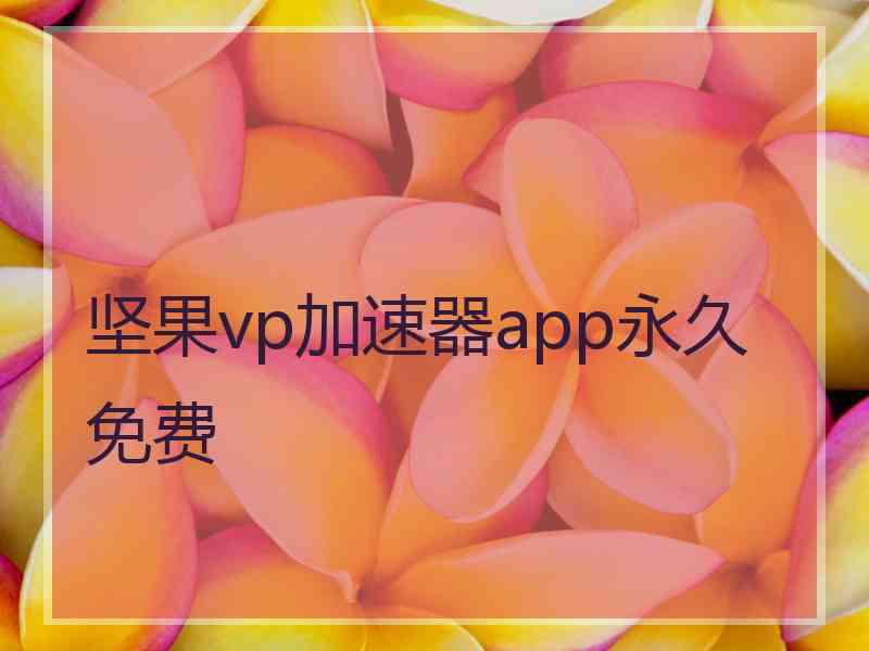 坚果vp加速器app永久免费