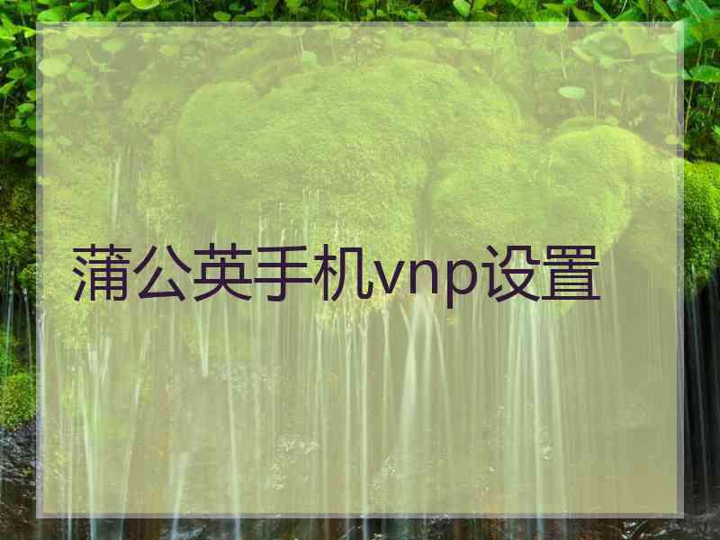 蒲公英手机vnp设置