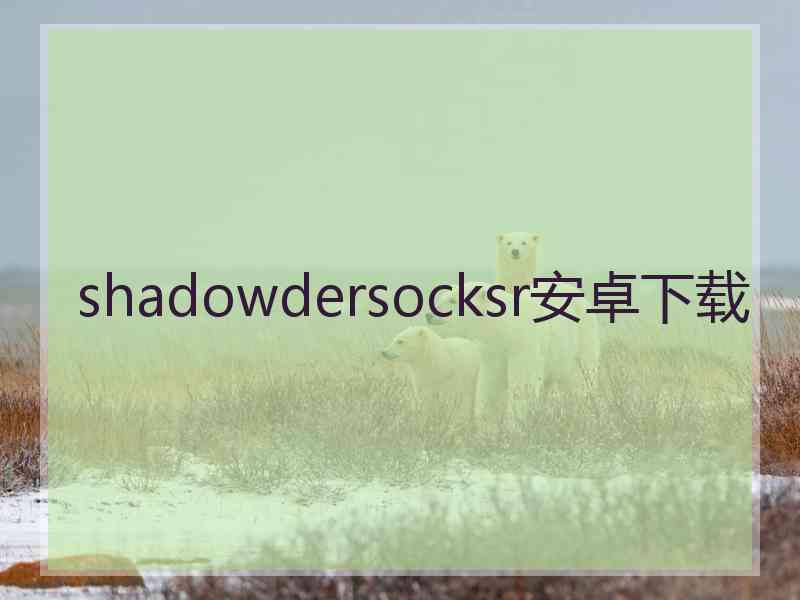 shadowdersocksr安卓下载