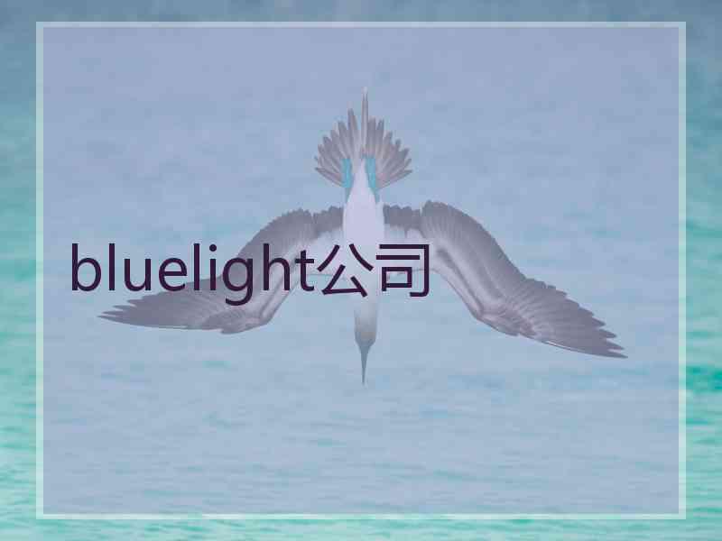 bluelight公司