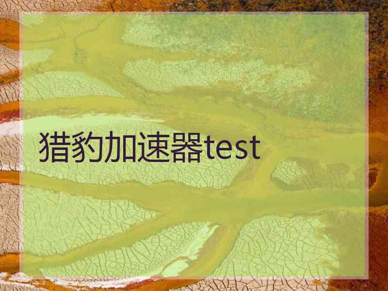 猎豹加速器test