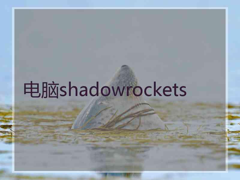 电脑shadowrockets