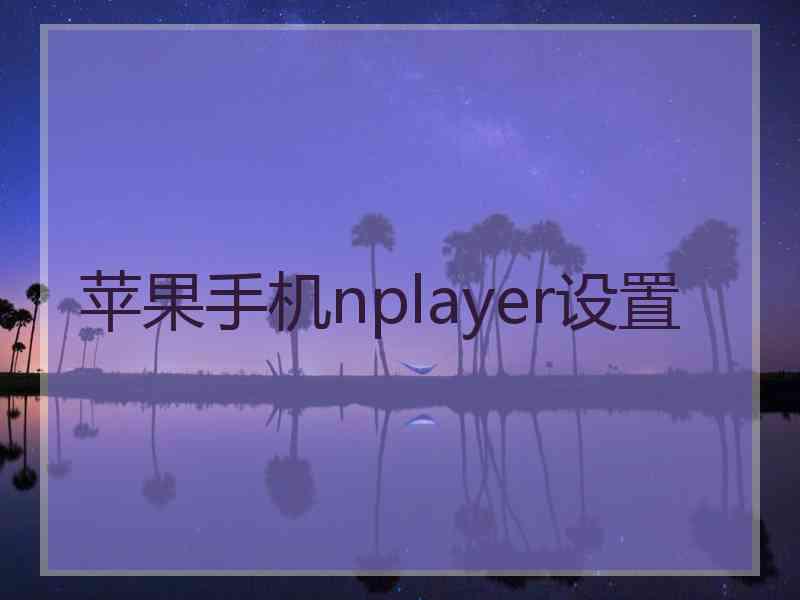 苹果手机nplayer设置