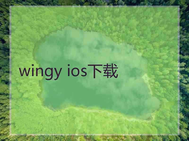 wingy ios下载