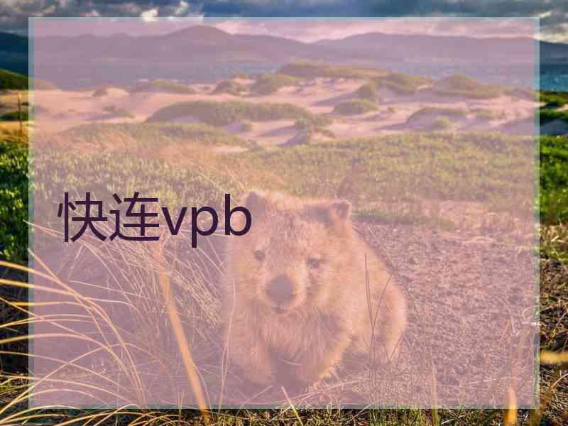 快连vpb