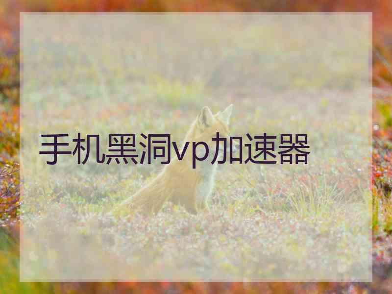 手机黑洞vp加速器