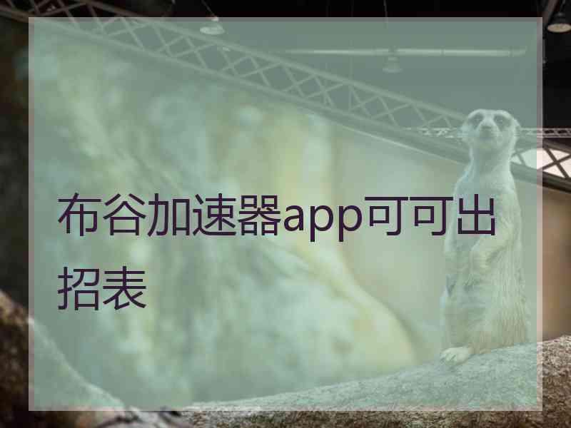 布谷加速器app可可出招表