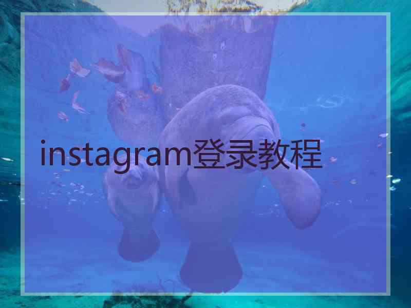 instagram登录教程