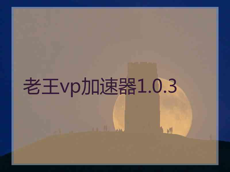 老王vp加速器1.0.3