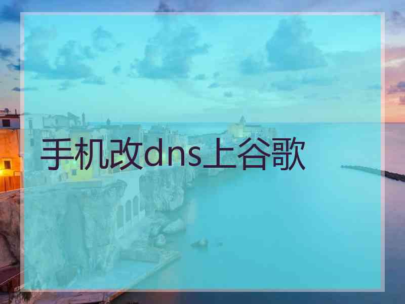 手机改dns上谷歌