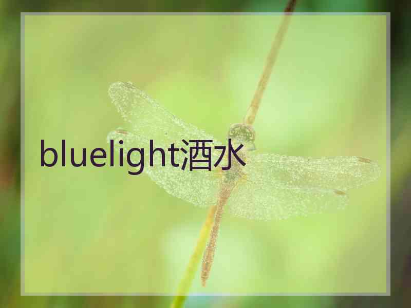 bluelight酒水