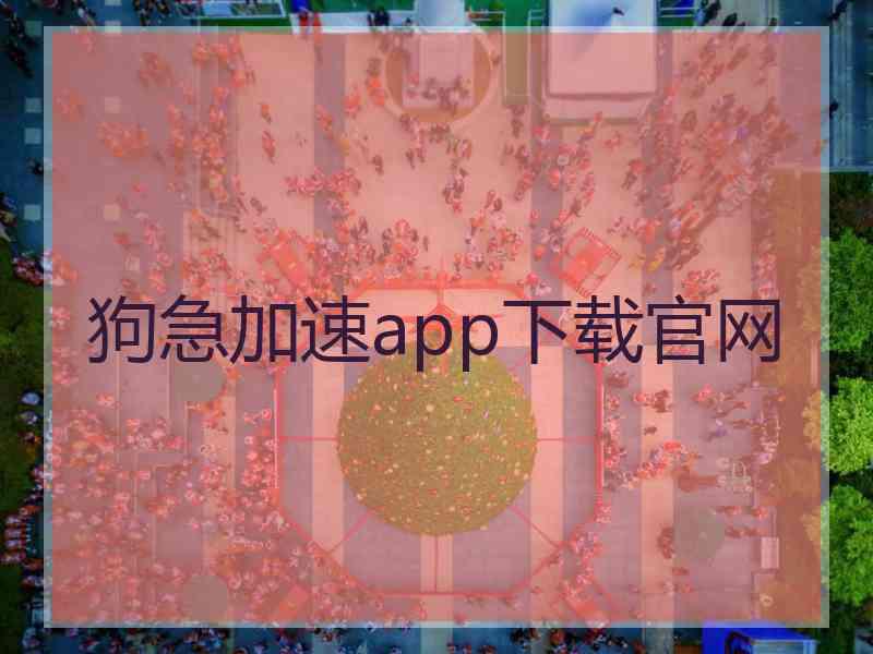 狗急加速app下载官网