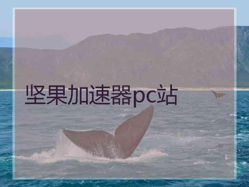 坚果加速器pc站