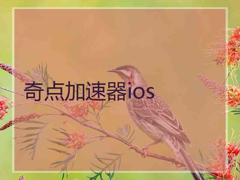 奇点加速器ios