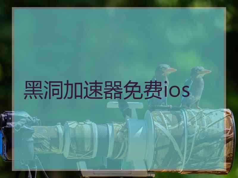 黑洞加速器免费ios