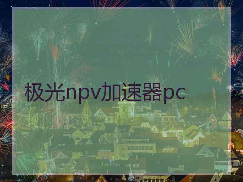 极光npv加速器pc